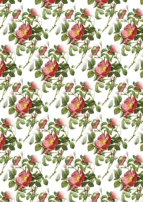 Rose of Love Backing Paper