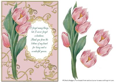 Pink Tulip Thank You 5