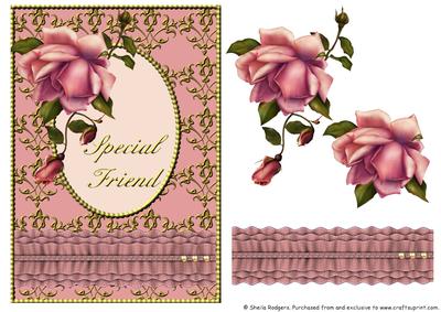 Blush Rose with Ruffle - Special Friend