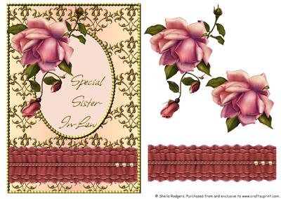 Blush Rose with Ruffle - Special Sister-in-law