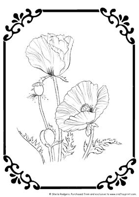 Digital Stamp - Poppies in Frame