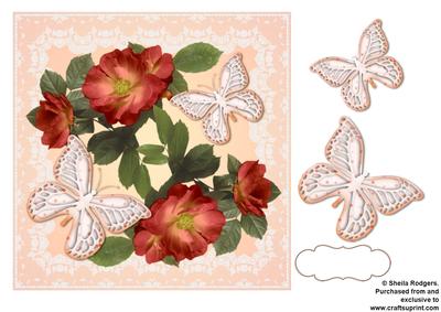 Peach Butterflies on Roses and Lace