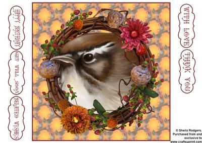 Wren and Wreath