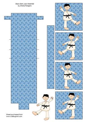 Black Belt Judo Waterfall