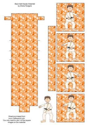 Black Belt Karate Waterfall
