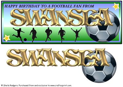 Football Fan from - Swansea