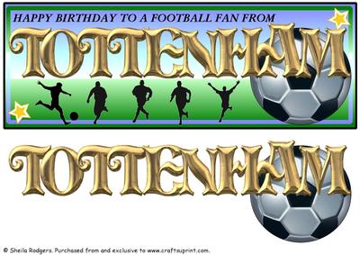 Football Fan from - Tottenham