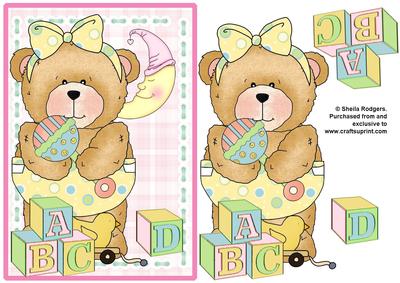 Building Blocks - Baby Girl Teddy with Rattle