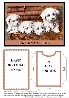 Gift Card Holder - White Puppies