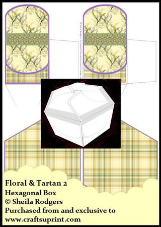 Hexagonal Box - Floral & Tartan 2