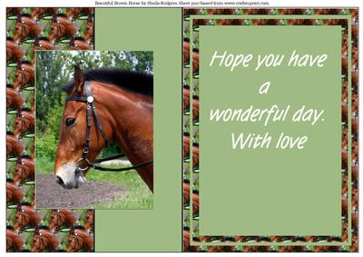 Beautiful Brown Horse