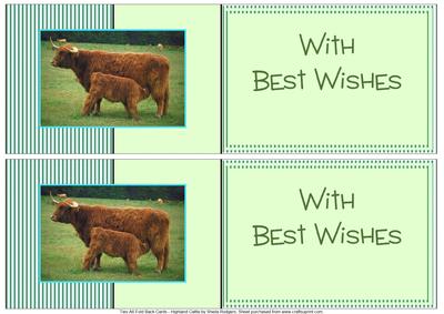 Two A6 Fold Back Cards - Highland Cattle
