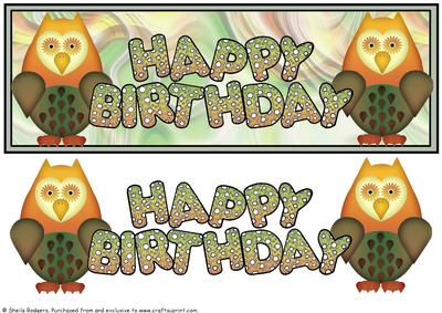 Large Dl Card - Eyelash Owls Birthday