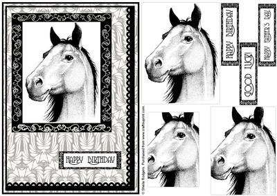 Monochrome Horse