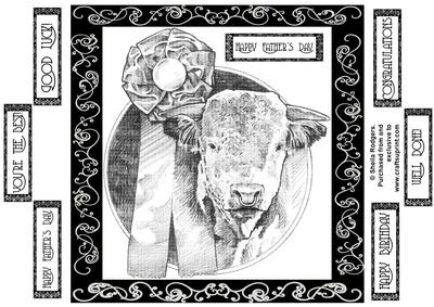 Prize Winning Bull