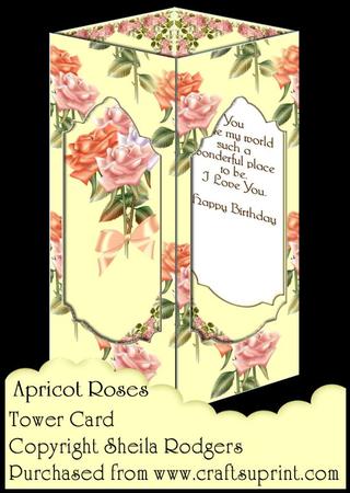Tower Card - Apricot Roses