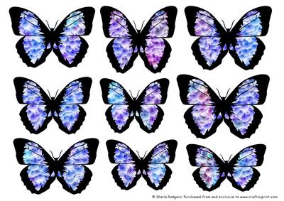Butterfly 1 Embellishments 3