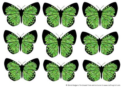 Butterfly 2 Embellishments 2
