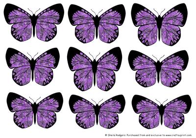 Butterfly 2 Embellishments 5
