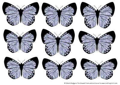 Butterfly 2 Embellishments 6