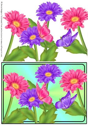Gerberas and Butterflies