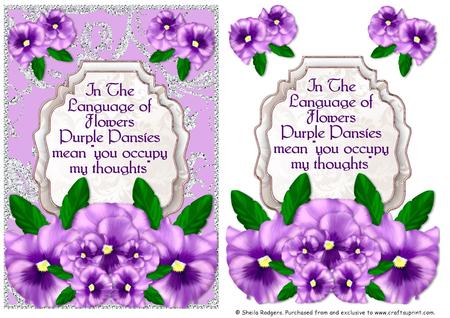 Language of Flowers - Purple Pansy
