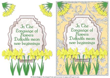 Language of Flowers - Daffodil