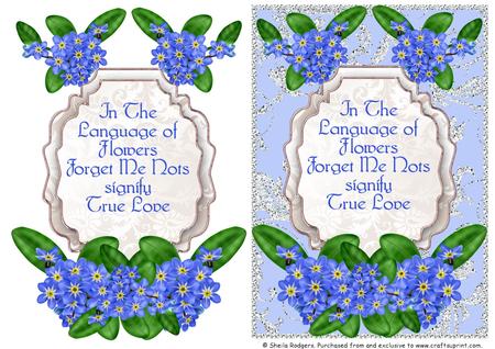Language of Flowers - Forget Me Not