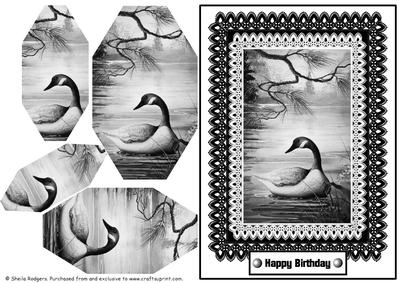 Monochrome Lace - Duck