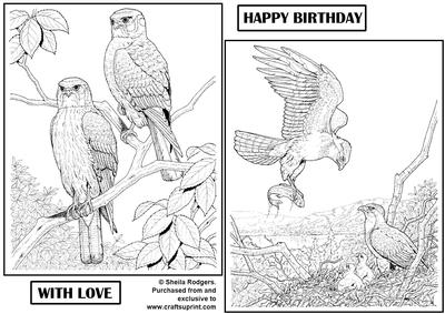 Digi Stamp - Birds 3