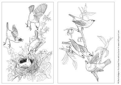 Digi Stamp - Birds 4