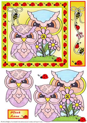 Owls and Ladybirds