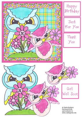 6x6 Owls on Tartan 2