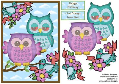 Owls on Branch 1
