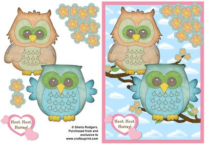 Owls on Branch 3