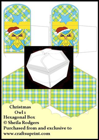 Hexagonal Box - Christmas Owl 1