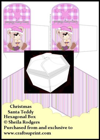 Hexagonal Box - Christmas Santa Teddy