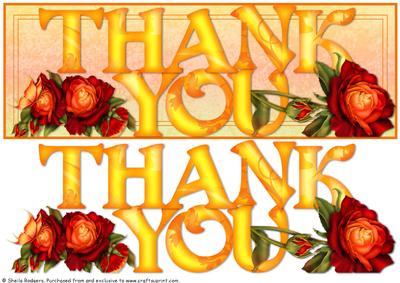 Large Dl Card - Thank You Roses