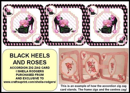 Accordion Zig Zag Card - Black Heels and Roses