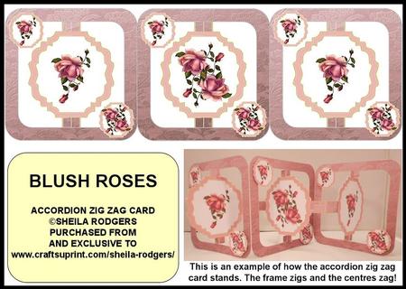 Accordion Zig Zag Card - Blush Roses