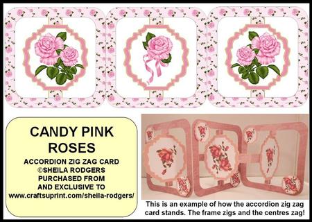 Accordion Zig Zag Card - Candy Pink Roses