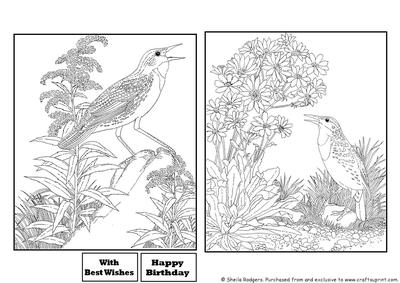 Digital Stamps - Birds 3