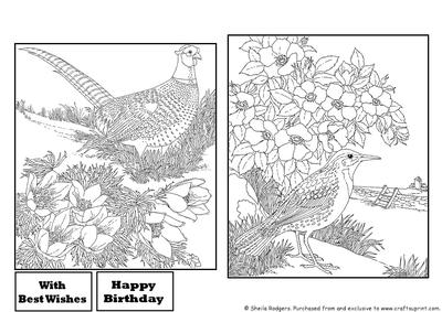 Digital Stamps - Birds 4