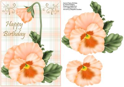 Apricot Pansy Birthday