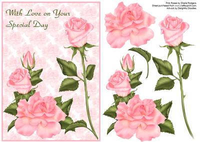 Pink Roses