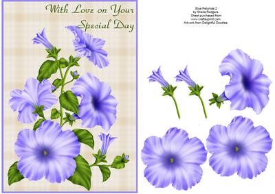Blue Petunias 2