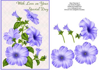 Blue Petunias 3