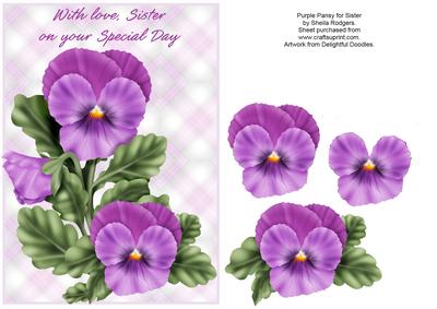 Purple Pansy for Sister