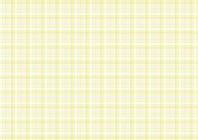 Pastel Tartan Paper 6