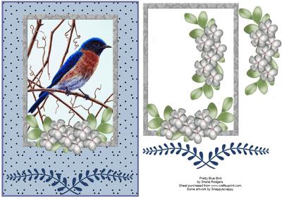 Pretty Blue Bird